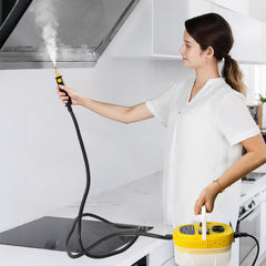 2500W Handheld Steam Cleaner High Temperature Steamer Portable High Pressure Cleaning Machine with Water Tank and Brushes for Kitchen Bathroom Cleaning
