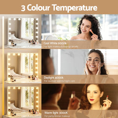 Embellir Makeup Mirror 80x58cm Hollywood Vanity with LED Light Tabletop Wall