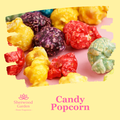 Candy Popcorn Soy Candle Tin 165g
