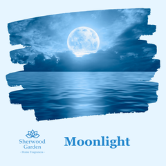 Moonlight Soy Candle Tin 165g