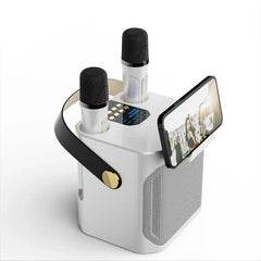 High Power Karaoke Bluetooth Speaker With Dual Microphone