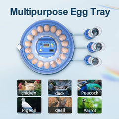 CARLA HOME 52 Egg Incubator with Automatic Turning, LED Display, Humidity & Temperature Control, Auto Water System & Built-in Egg Candler for Chicken, Duck, Quail, Goose