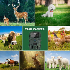 60MP 4K Green Trail Hunting Camera with WIFI Night Vision and IP66 Waterproof