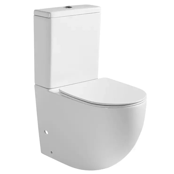 White Dual Flush Ceramic Skirted Toilet with Heavy Duty Slow Closing Seat