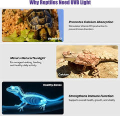 40cm Adjustable Reptile 10.0UVA UVB Lamps LED Light for Reptile Tanks Pet Lighting System