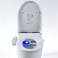 Electric Toilet Bidet Seat Cover Auto Massage Washlet Bathroom Warm Water Dry AU