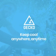 GECKO 70L Portable Bar Fridge and Freezer 12V/24V for Camping, Caravans, Silver