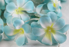 1 Set of 50 LED Tropical Blue Frangipani Flower Battery 5m LONG String Lights Christmas Gift Home Wedding Beach Party Decoration Outdoor Table Centrepiece