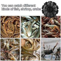 10Hole Eel Fishing Trap Cage Loach Fish Shrimp Net Folding Portable Catch Basket