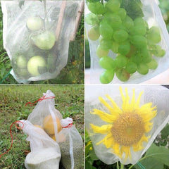 50X Fruit Net Bags Agriculture Garden Vegetable Protection Mesh Insect Proof - 25*35 (50 PCS)