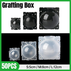 50pcs Plant Rooting Device High Pressure Grafting Box for Seedling Branch Garden - Clear M-50PCS