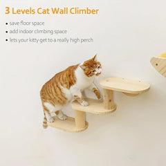 Solid Wood Wall Mounted Cat Climbing Tree Rack Platform Space Capsule Bed Shelf