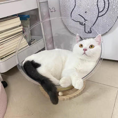 Four Seasons Acrylic Space Capsule Cat Bed Semi-closed Cool Nest Turntable Toy - XL
