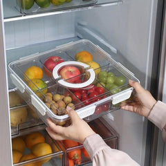 Portable Household Kitchen Refrigerator Storage Box Food Organizer Fresh Keeper - Black