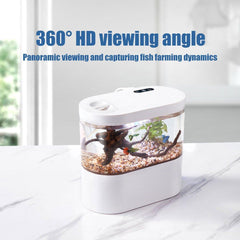 Mini Self-Circulating Desktop Fish Tank Eco-Friendly Creative Aquarium for Home - Pink