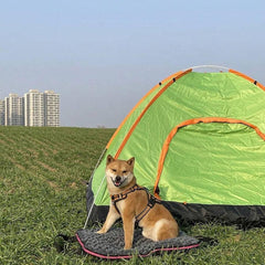Portable Folding Pet Kennel Zippered Outdoor Dog Bed Travel Mat Waterproof - Blue Orange