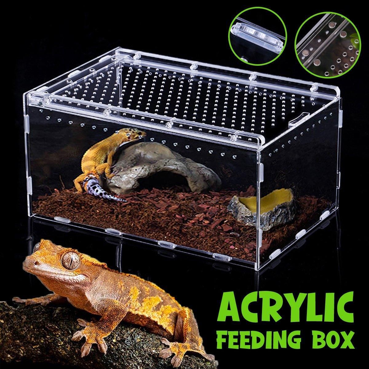 Clear Pet Box Slide Lid Reptile Breeding Habitat Panoramic View Terrarium