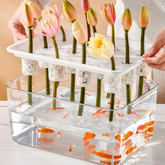 Transparent Rectangular Aquarium 12Hole Lid Portable Hydroponic Plant Fish Tank - Green
