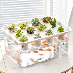 Transparent Rectangular Aquarium 12Hole Lid Portable Hydroponic Plant Fish Tank - Green