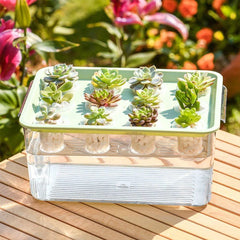 Transparent Rectangular Aquarium 12Hole Lid Portable Hydroponic Plant Fish Tank - Green