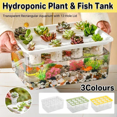Transparent Rectangular Aquarium 12Hole Lid Portable Hydroponic Plant Fish Tank - Green