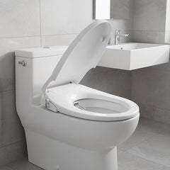 Non Electric Bidet Toilet Seat W/ Cover Bathroom Spray Water Wash