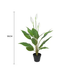 Artificial Flowering White Peace Lily / Calla Lily 95cm