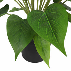 Artificial Flowering White Peace Lily / Calla Lily Plant 50cm