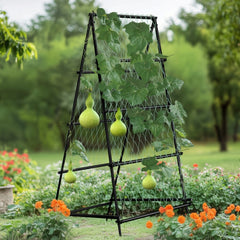 FIN Metal Garden Trellis Arch Climbing Plants Grow Support Frame with Ground Spikes
