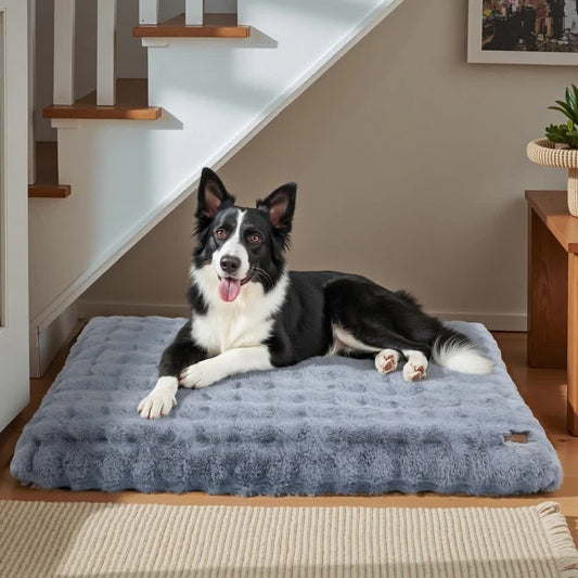 Comfortable Pet Bed with Removable Cover and Anti Skid Base(extra large)
