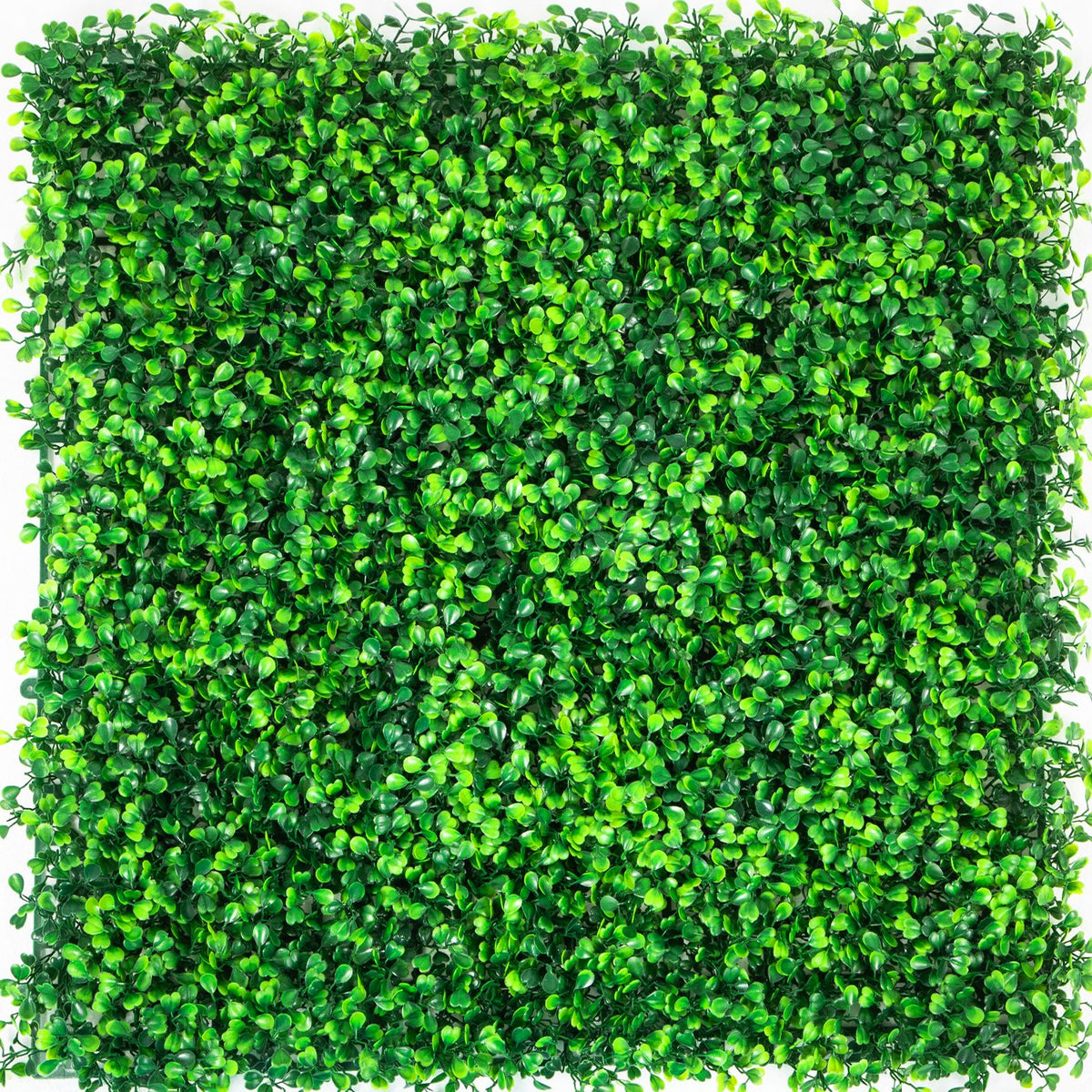 Artificial Boxwood Panels, 12 PCS 20"x20" Boxwood Hedge Wall Panels, PE Artificial Grass Backdrop Wall 1.6\", Privacy Hedge Screen for Decoration of Outdoor, Indoor, Garden, Fence, and Backyar