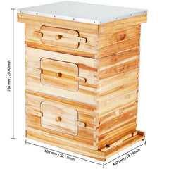 Bee Hive 30 Frame Bee Hives Starter Kit, Beeswax Coated Fir Wood, 2 Deep + 1 Medium Bee Boxes Langstroth Beehive Kit, Transparent Acrylic Windows with Foundations for Beginners Pro Beekeepers