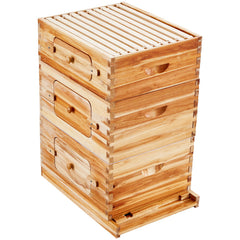 Bee Hive 30 Frame Bee Hives Starter Kit, Beeswax Coated Fir Wood, 2 Deep + 1 Medium Bee Boxes Langstroth Beehive Kit, Transparent Acrylic Windows with Foundations for Beginners Pro Beekeepers