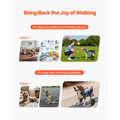 Dog Wheelchair for Back Legs, Adjustable 2 Wheels Pet Wheelchair, Lightweight  Dog Cart with Shock-Absorbing Wheels, Mobility Support Wheel Chair for Disabled Injured Dogs up to 10kg, Small