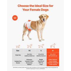 Disposable Dog Diapers, Super Absorbent Female Dog Diapers, 360° Leak-Proof Female Doggy Pet Diaper with Wetness Indicator for Heat Period, Training, Incontinence - M, 96 Count (2 Packs of 48)