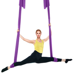 Aerial Silk & Yoga Swing, 8 m Length, Aerial Yoga Hammock Kit with 100gsm Nylon Fabric, Full Rigging Hardware & Easy Set-up Guide, Antigravity Flying for All Levels Fitness Bodybuilding, Purple