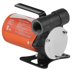 Fuel Transfer Pump 12V 8 GPM 1/6 HP Diesel Pump with Auto Fuel Nozzle