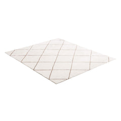 Indoor Plush Area Rugs, 2.44 x 3.05m Plush Carpet, Area Rugs Furry with Long Plushs Pile, Thick & Durable High-Pile Rug for High-Traffic Areas, Bedroom, Non-Shedding & Non-Slip Backing, Beige