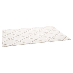 Indoor Plush Area Rugs, 2.44 x 3.05m Plush Carpet, Area Rugs Furry with Long Plushs Pile, Thick & Durable High-Pile Rug for High-Traffic Areas, Bedroom, Non-Shedding & Non-Slip Backing, Beige