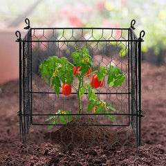 4 Pack Plant Protector from Animals, 13.4'' x 13.4'' Chicken Wire Plant Protector, Plant Cages for Outdoor Plants, Flowers & Vegetables, Keeps Bunny Chicken Squirrels Out, 16pcs Metal Mesh