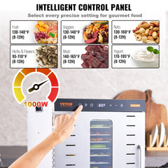 10 Trays Food Dehydrator Machine Stainless Steel 1000W Jerky Fruit Drying