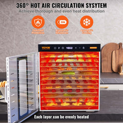 10 Trays Food Dehydrator Machine Stainless Steel 1000W Jerky Fruit Drying