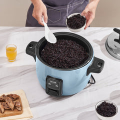 Commercial Rice Cooker, 40-Cup Rice Cooker, 8 Liter Large Rice Cooker and Warmer with Nonstick Inner Pot, Fast Cooking and 24-Hour Keep Warm, with Rice Cup and Paddle, for Restaurant