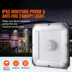 4 Pack LED Canopy Lights 80W 8800LM 5000K Daylight Outdoor Canopy Lighting