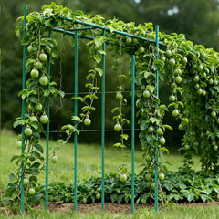 Garden Stakes, 25 Pack, 2100 mm, Plastic Coated Metal Tomato Stakes, Garden Sticks for Plants Support, with Pointed End and Non-Slip Bumps for Growing Climbing Plants, Outdoor Vegetables