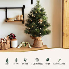 Jingle Jollys Christmas Tree 60CM Mini Tabletop 8 Light Modes Timer Xmas Tree