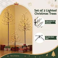 Jingle Jollys 3 Pack LED Christmas Tree Lighted Birch Tree Indoor Outdoor Xmas Decor Warm White