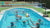泳池排球网 Pool Volleyball Net（59S）.mp4