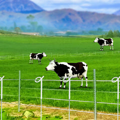 20PCS Tread in Pigtail Steel Posts Fence Pigtail Posts Electric Fence Anti-rust Pig Tail Strip Graze for Graze Farming Tape Fencing